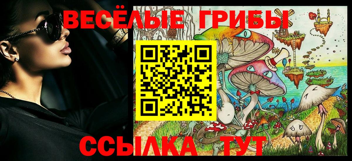 Псилоцибиновые грибы MAGIC MUSHROOMS  Вход с VPN  Псилоцибиновые грибы Magic Shrooms  Кохма 